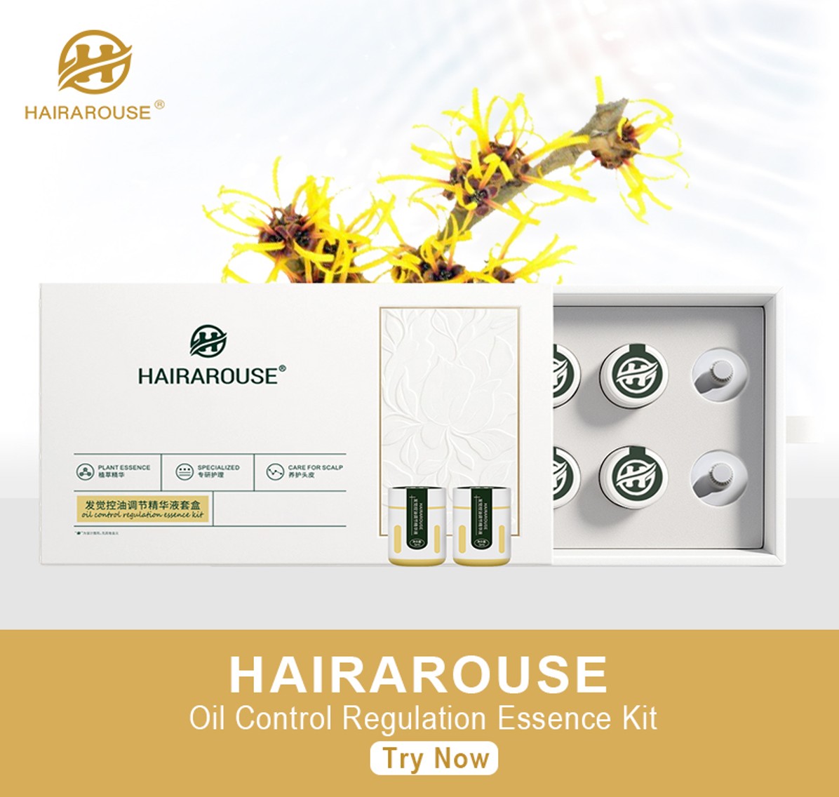 Oil Control Regulation Essence Kit